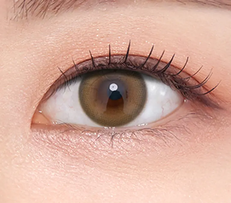 엔딩 원데이 브라운